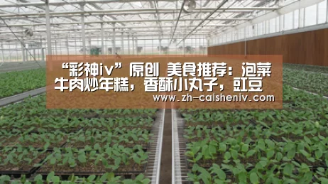 “彩神iv”原创 美食推荐:泡菜牛肉炒年糕,香酥小丸子,豇豆炒腊肉的做法(图4) 彩神iv