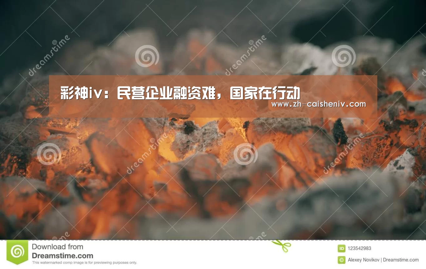 彩神iv:民营企业融资难,国家在行动(图2) 彩神iv