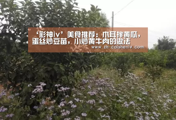 ‘彩神iv’美食推荐:木耳拌黄瓜,蛋丝炒豆苗,小炒黄牛肉的做法(图3) 彩神iv